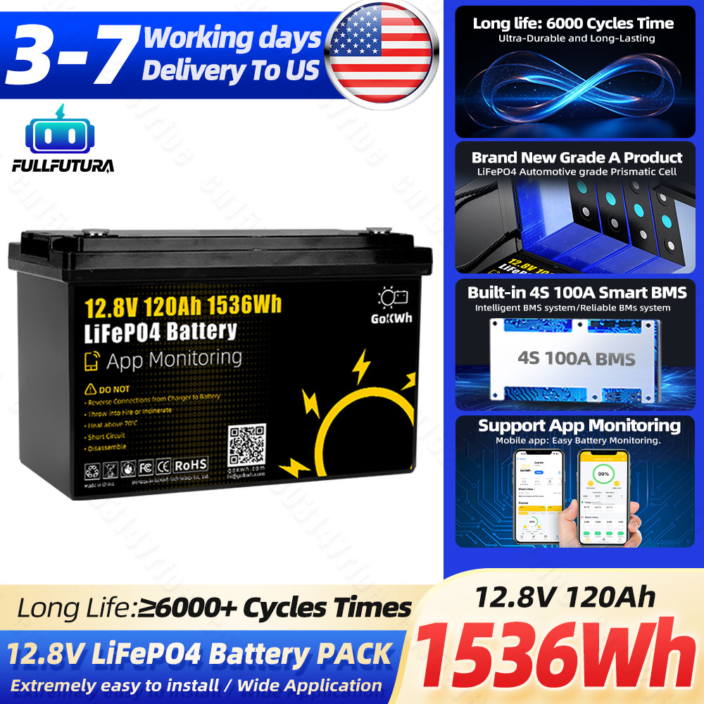 6000+ Zyklen 12V 120Ah LiFePO4 – Outdoor Camping Usa Bewertung und Preis